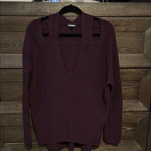 Express Purple V-Neck Sweater Fine Knit